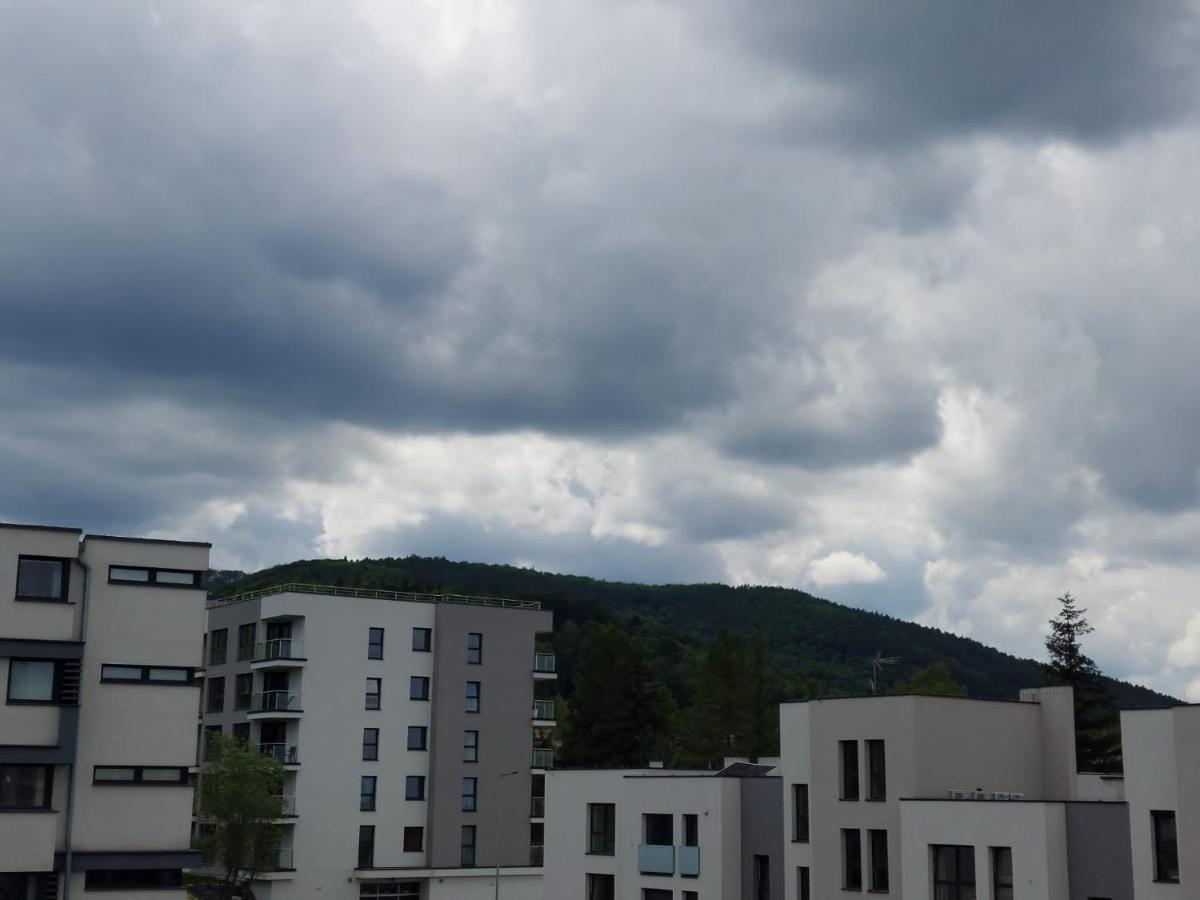 Apartament Pod Gora Szyndzielnia , Debowiec Bielsko-Biała Buitenkant foto