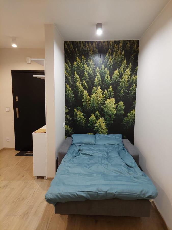 Apartament Pod Gora Szyndzielnia , Debowiec Bielsko-Biała Buitenkant foto