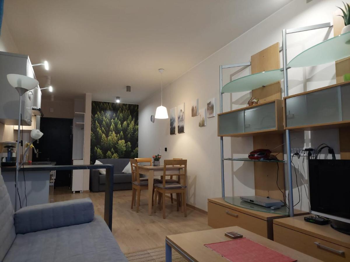 Apartament Pod Gora Szyndzielnia , Debowiec Bielsko-Biała Buitenkant foto
